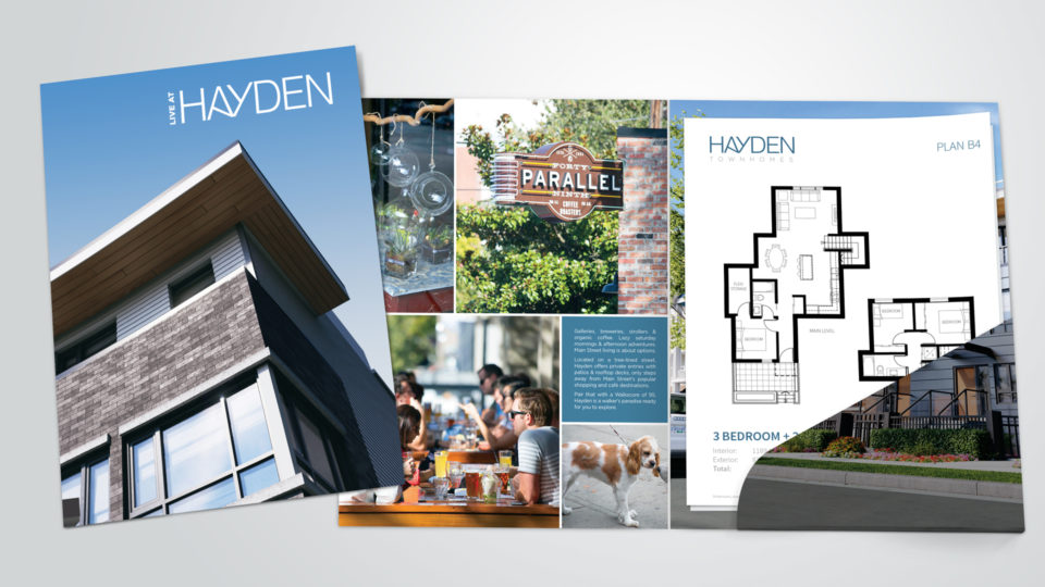 custom development marketing - Hayden